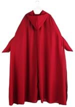 Plus Size Women's Handmaid's Tale Costume Alt 7