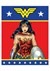 Wonder Woman 3 Piece Twin Size Comforter Set Alt 1