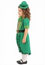 Toddler's Charming Leprechaun Costume Alt 2