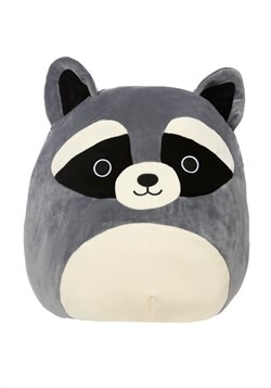 rocky the raccoon squishmallow