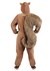 Plus Size Women's Scampering Squirrel Costume for Women 1