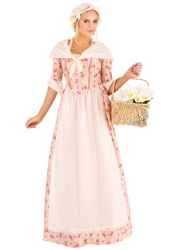 Colonial Farmstead Dress Women's Costume