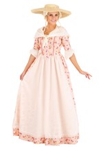 Colonial Farmstead Dress Women's Costume Alt 2