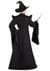 Plus Size Deluxe Harry Potter McGonagall Costume Back