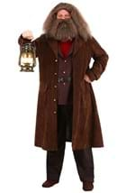 Men's Deluxe Harry Potter Hagrid Costume Back alt 2