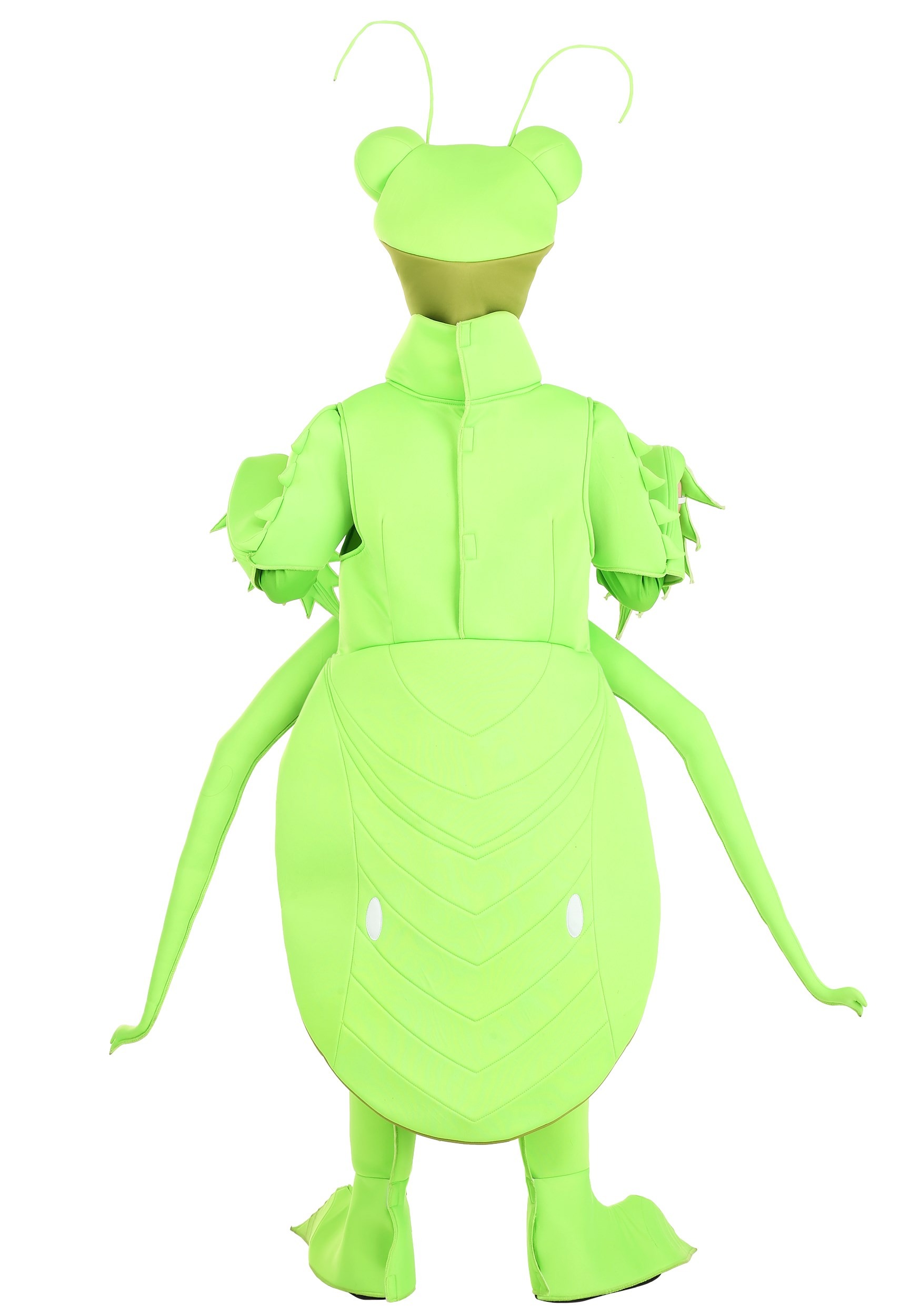 Praying Kid's Mantis Costume