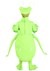 Kid's Praying Mantis Costume