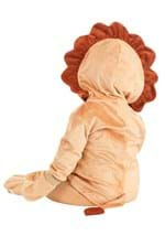 Infant's Cozy Lion Costume Alt 1