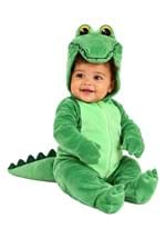 Adorable Infant Alligator Costume upd