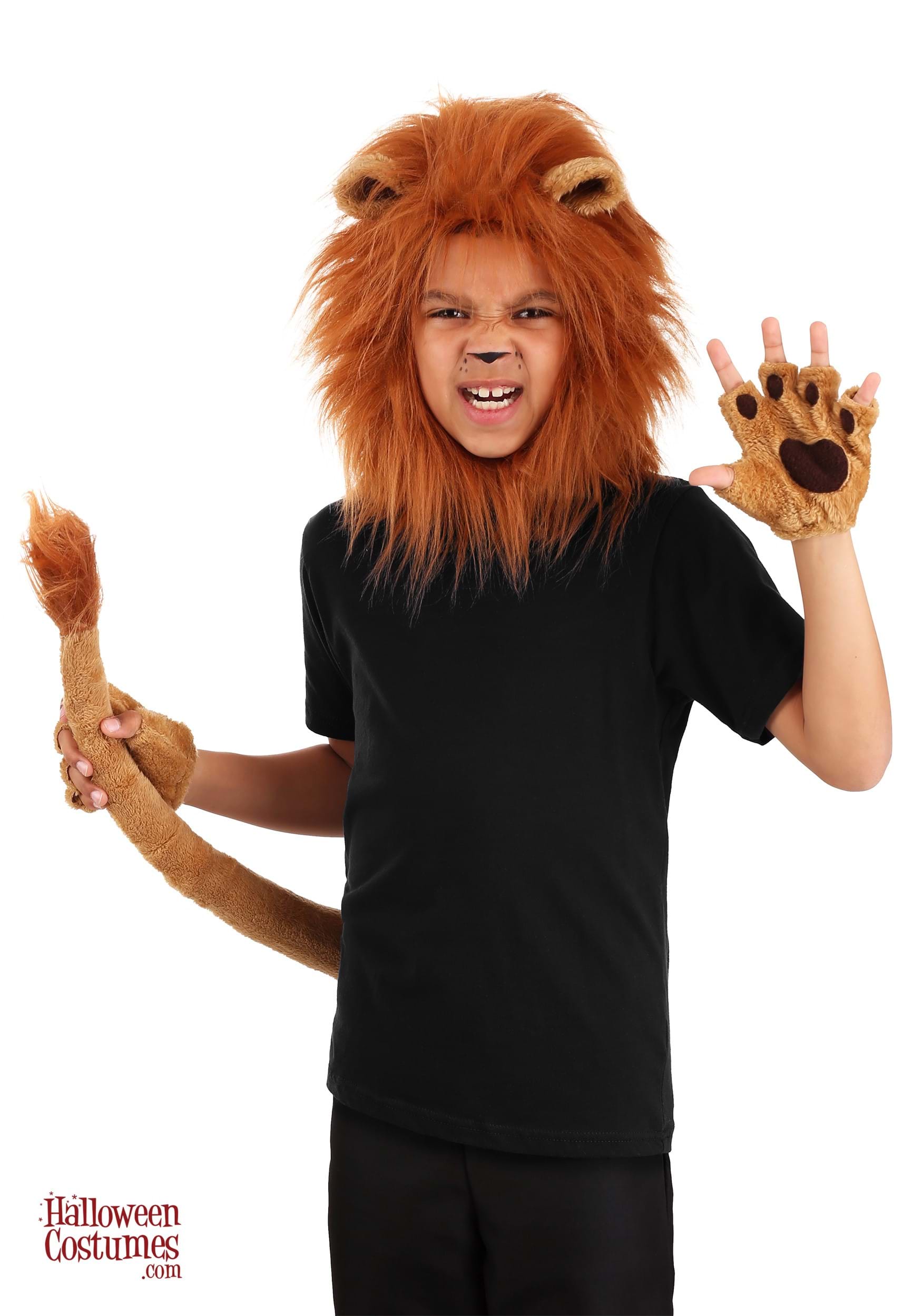 Deluxe Child Lion Kit