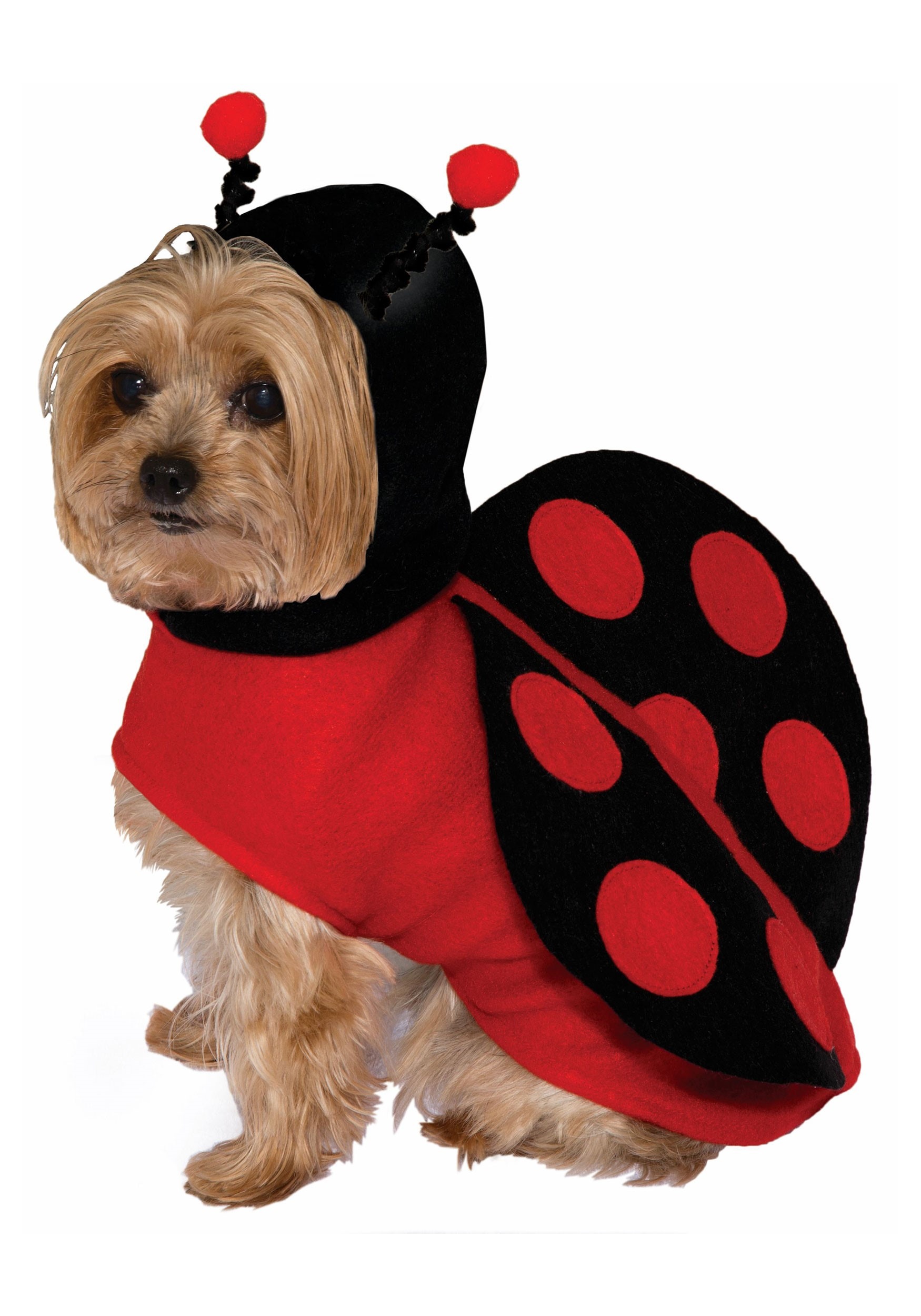 Photos - Fancy Dress Forum Novelties, Inc Pet Ladybug Costume Black/Red FO72644