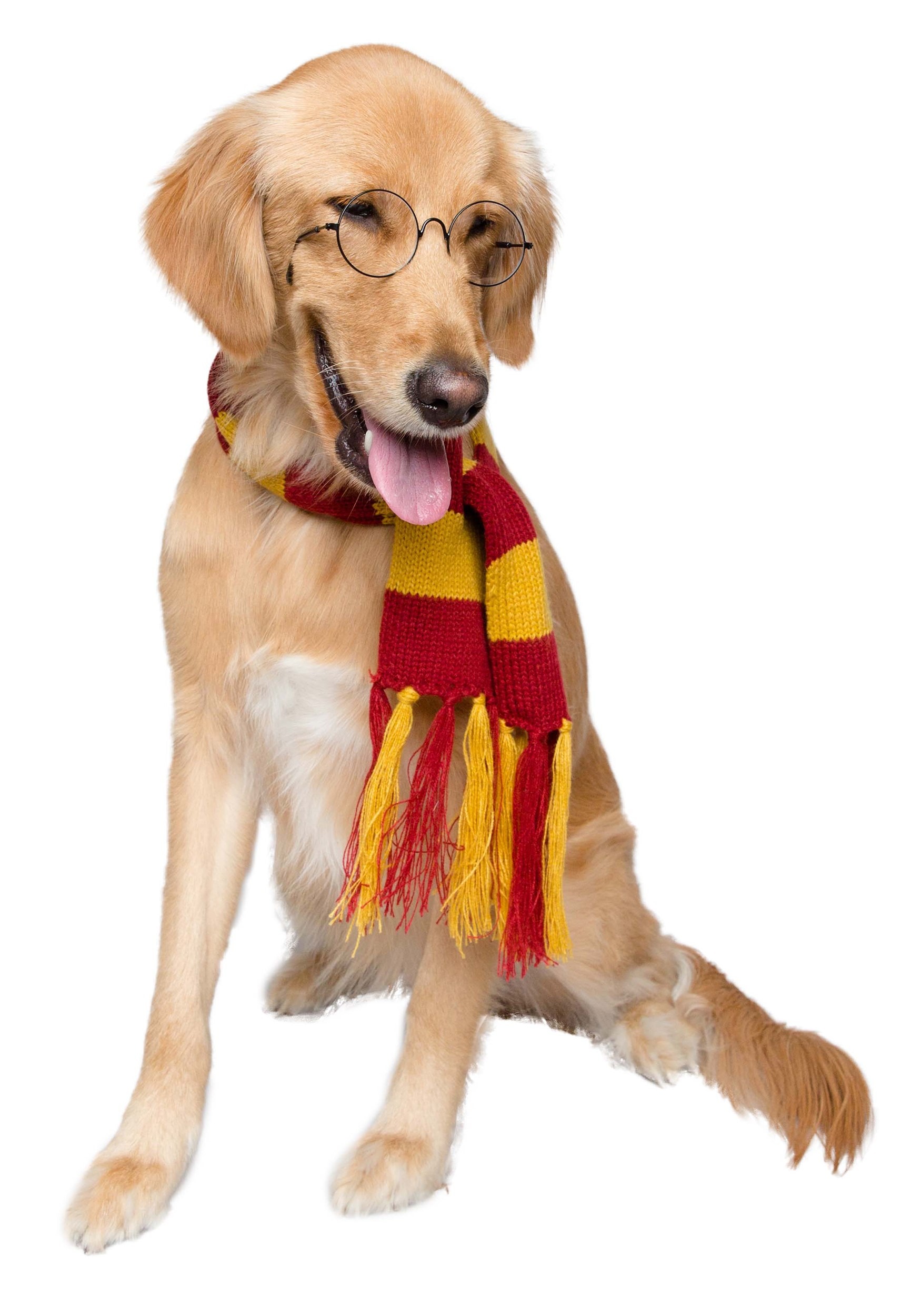 Pet Hipster Wizard Scarf
