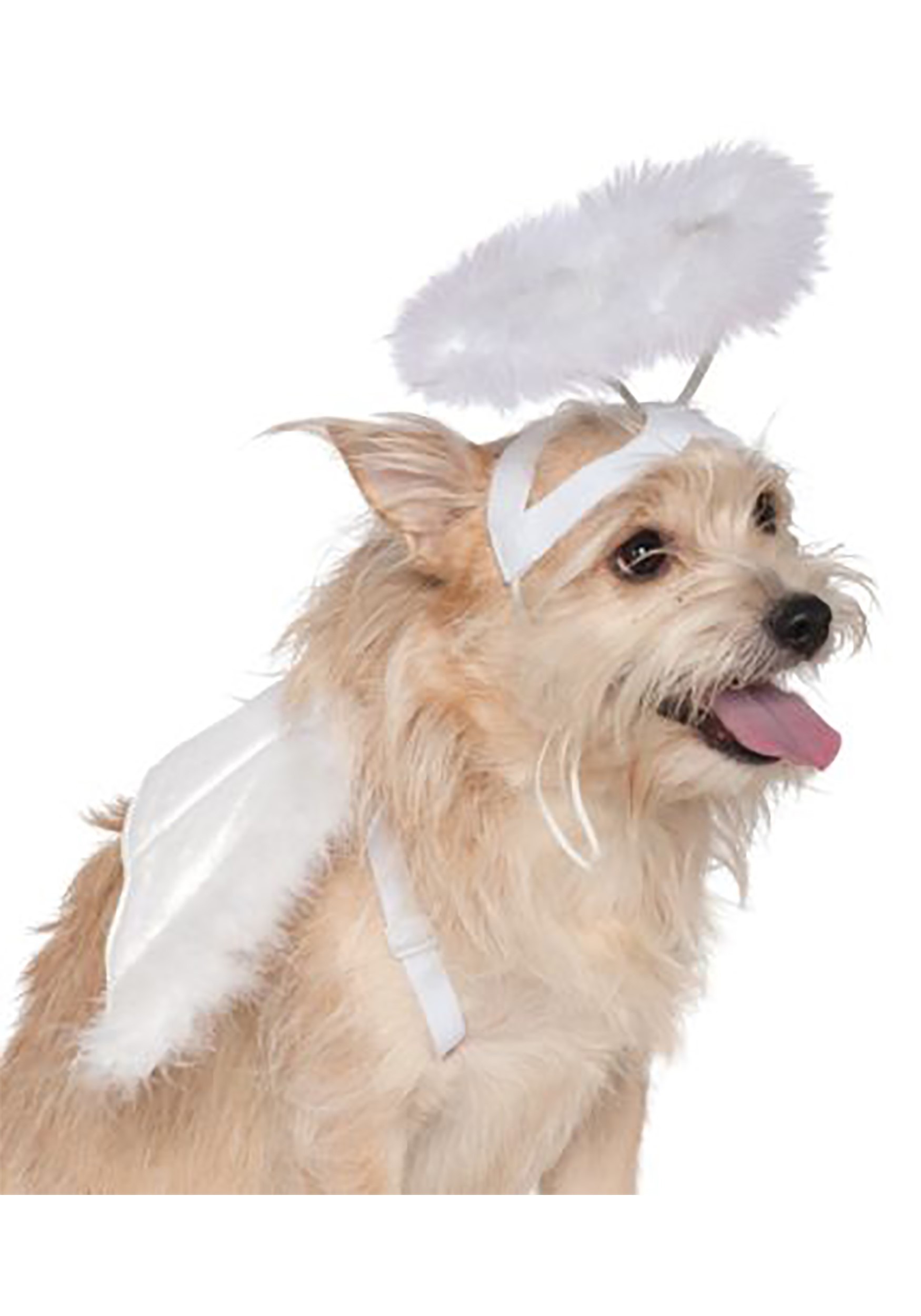 White Angel Pet Costume