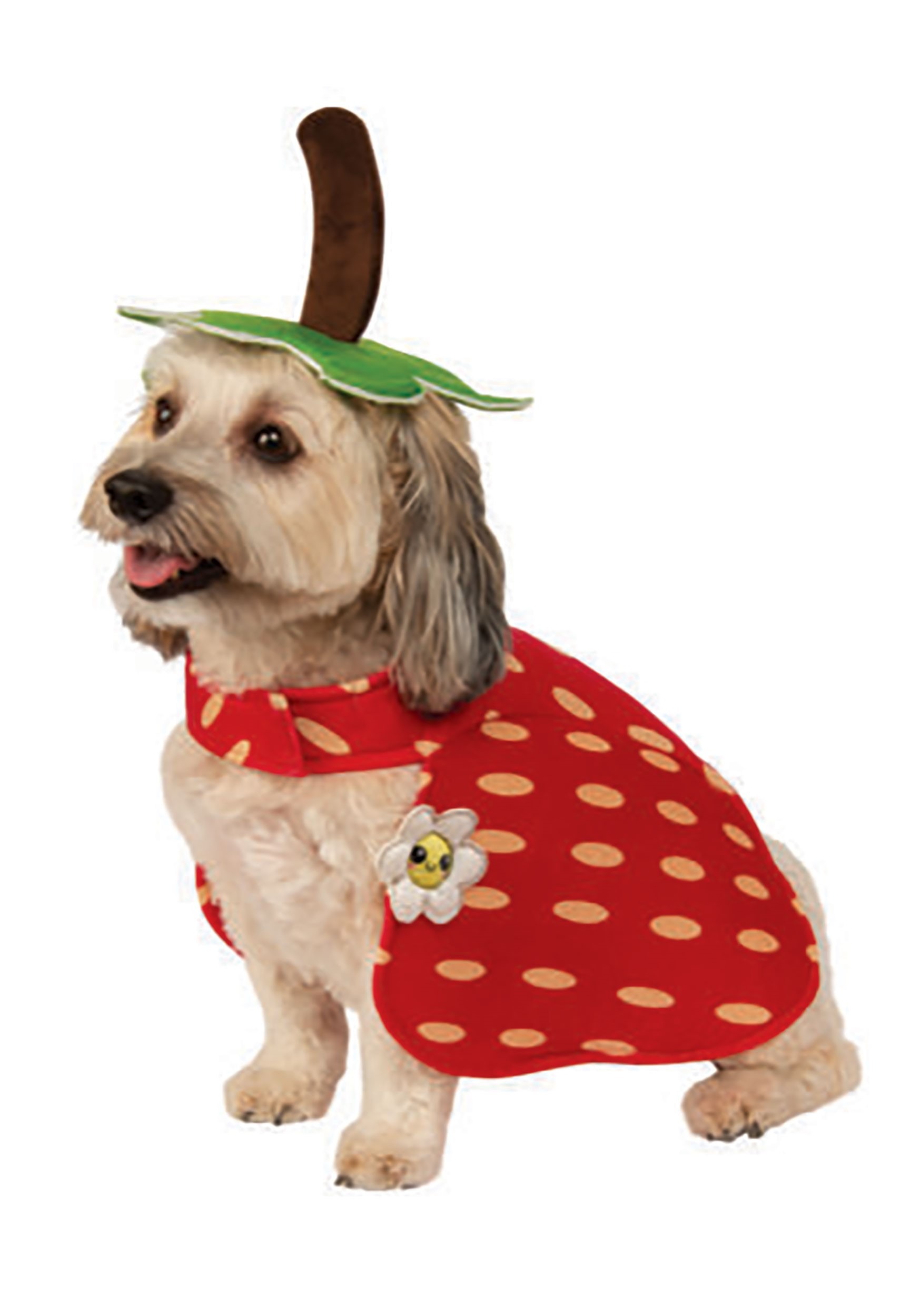 Photos - Fancy Dress Rubies Costume Co. Inc Red Strawberry Dog Costume Green/Red RU200248