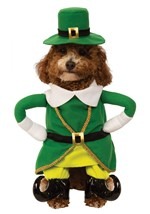 Lucky Leprechaun Dog Costume