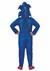 Sonic The Hedgehog Deluxe Movie Costume Back
