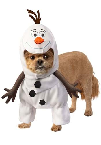 https://images.fun.com/products/66025/3-2/frozen-olaf-dog-costume.jpg