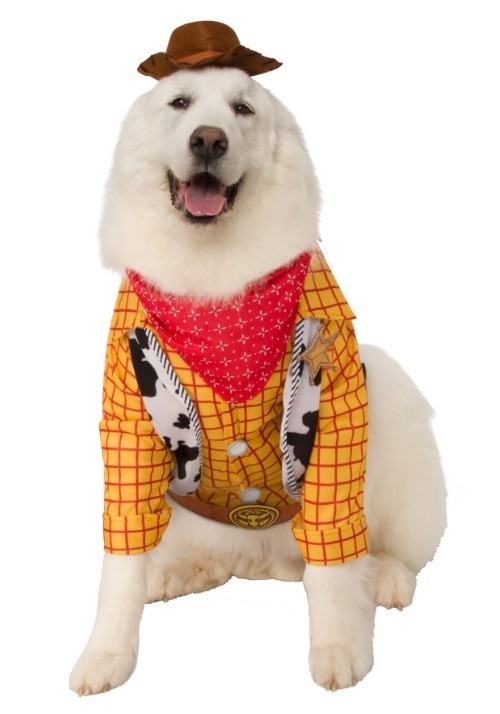 Toy Story Woody Plus Size Dog Costume