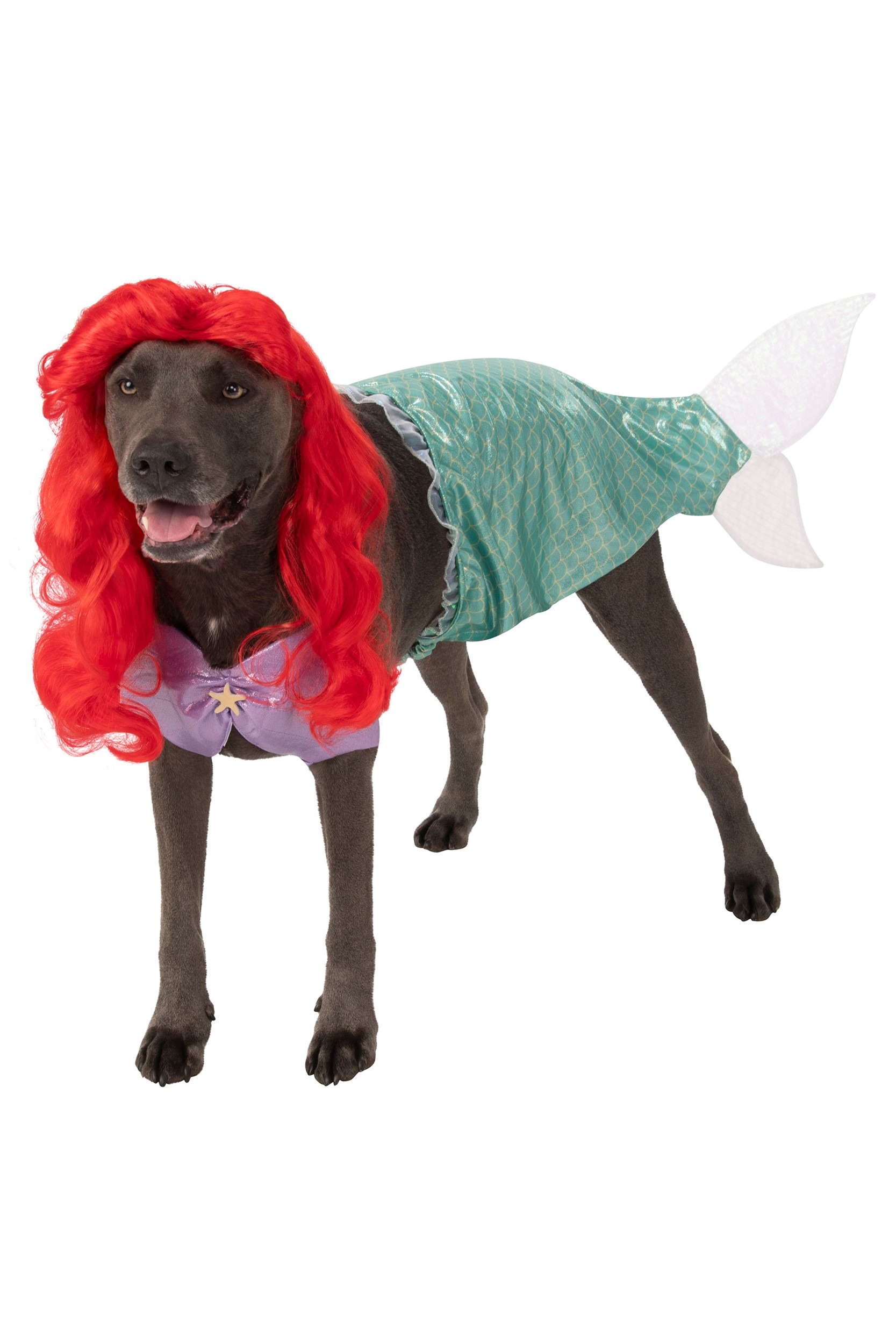Photos - Fancy Dress Rubies Costume Co. Inc Plus Size The Little Mermaid Ariel Dog Costume Purp 