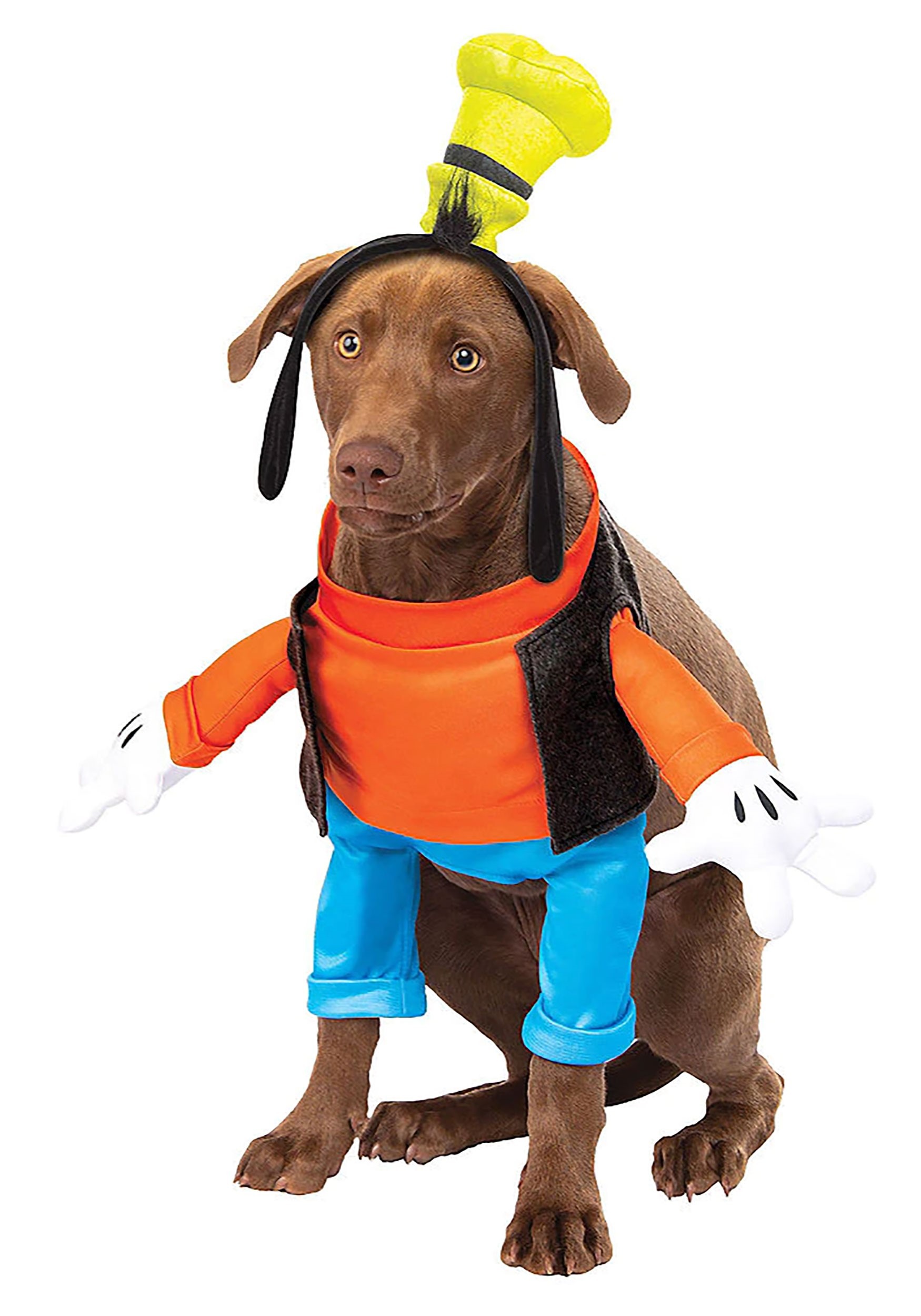 Goofy Costume for Dogs