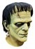 Universal Studios Frankenstein Mask 2