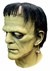 Universal Studios Frankenstein Mask 3