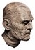Universal Studios Imhotep Mask 2