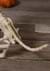 Howling Bonez Animated Dog Skeleton Alt 1