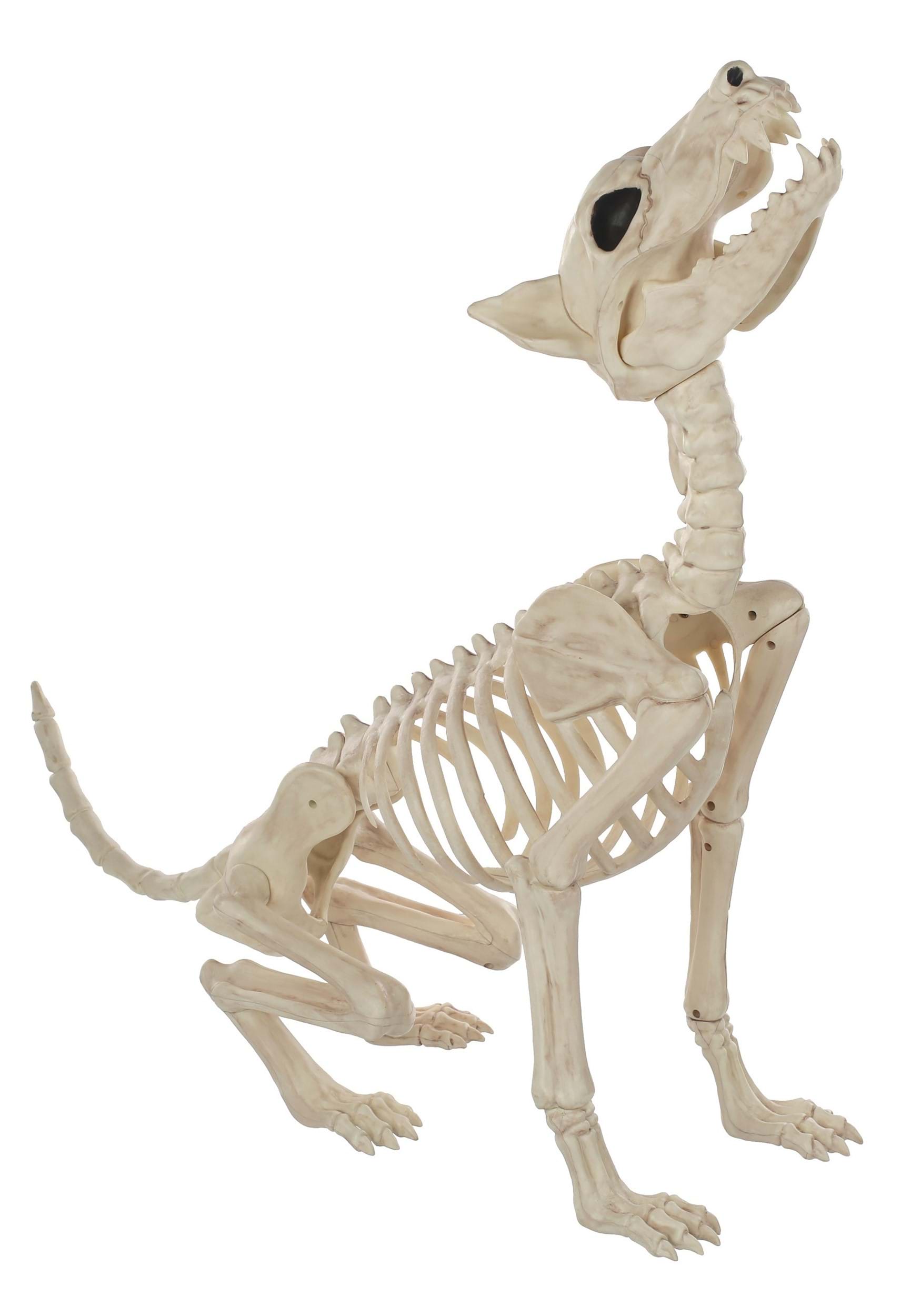 27-Inch Howl At The Moon Skeleton Dog Decoration | Animal Skeletons