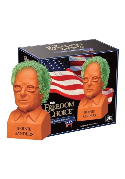 Bernie Sanders Chia Pet