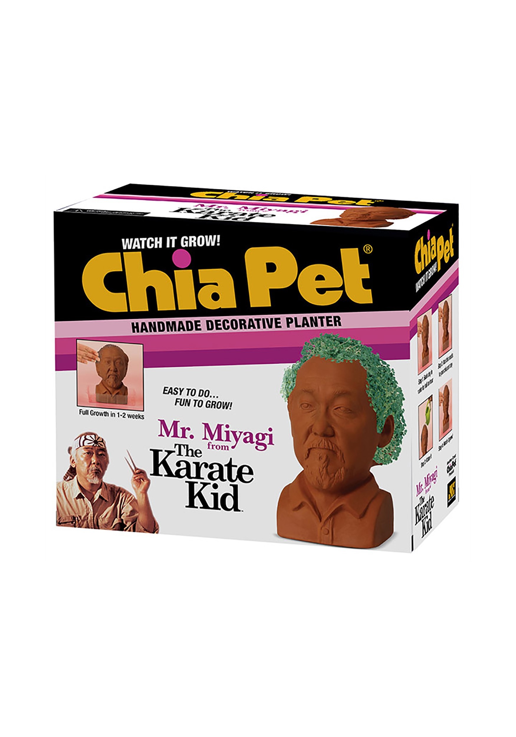 Mr. Miyagi Chia Pet Karate Kid