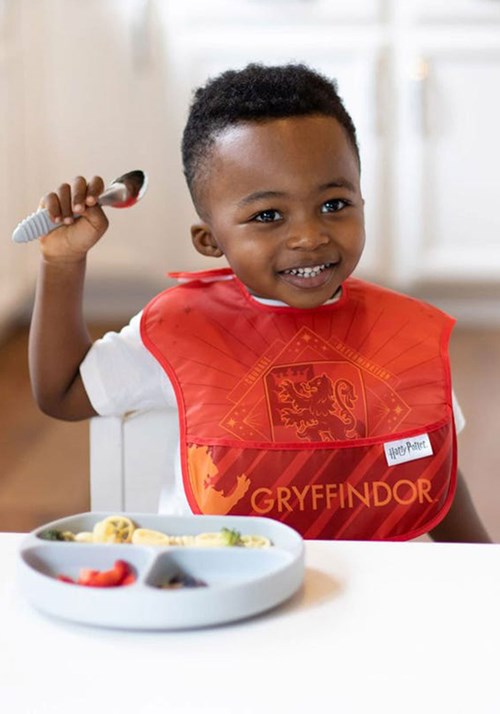 Harry Potter Gryffindor Superbib 3-Pack (6-24mo) Update