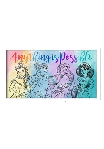 DISNEY PRINCESS ANYTHING IS POSSIBLE 10in x 18in FRAMED GEL