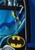Batman/Batgirl 5 pc Backpack Set Alt 4 Update