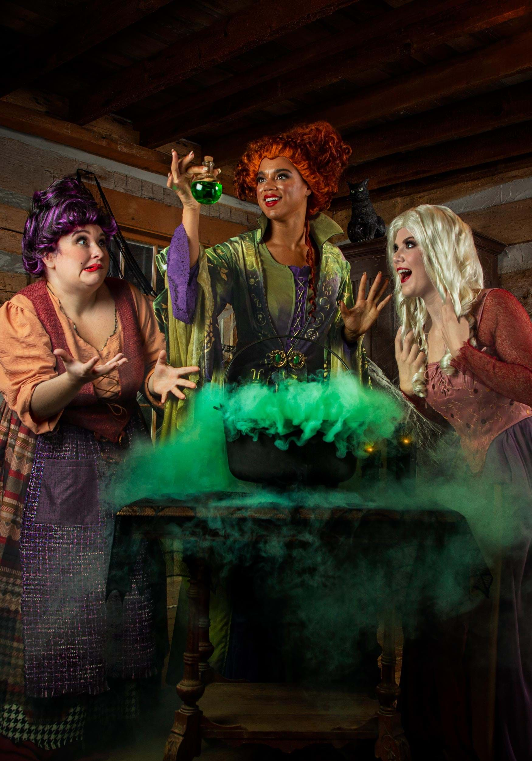 Plus Size Sanderson Sisters Costumes from Hocus Pocus  Sister costumes, Sanderson  sisters, Sanderson sisters costumes