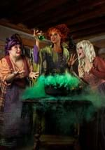 Women's Hocus Pocus Sarah Sanderson Costume Alt 12