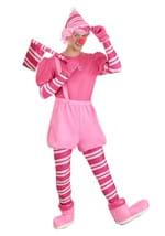 Mr. Mint Adult Candyland Costume