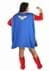 Wonder Woman Plus Size Adult Long Sleeve Dress Costume Alt 1
