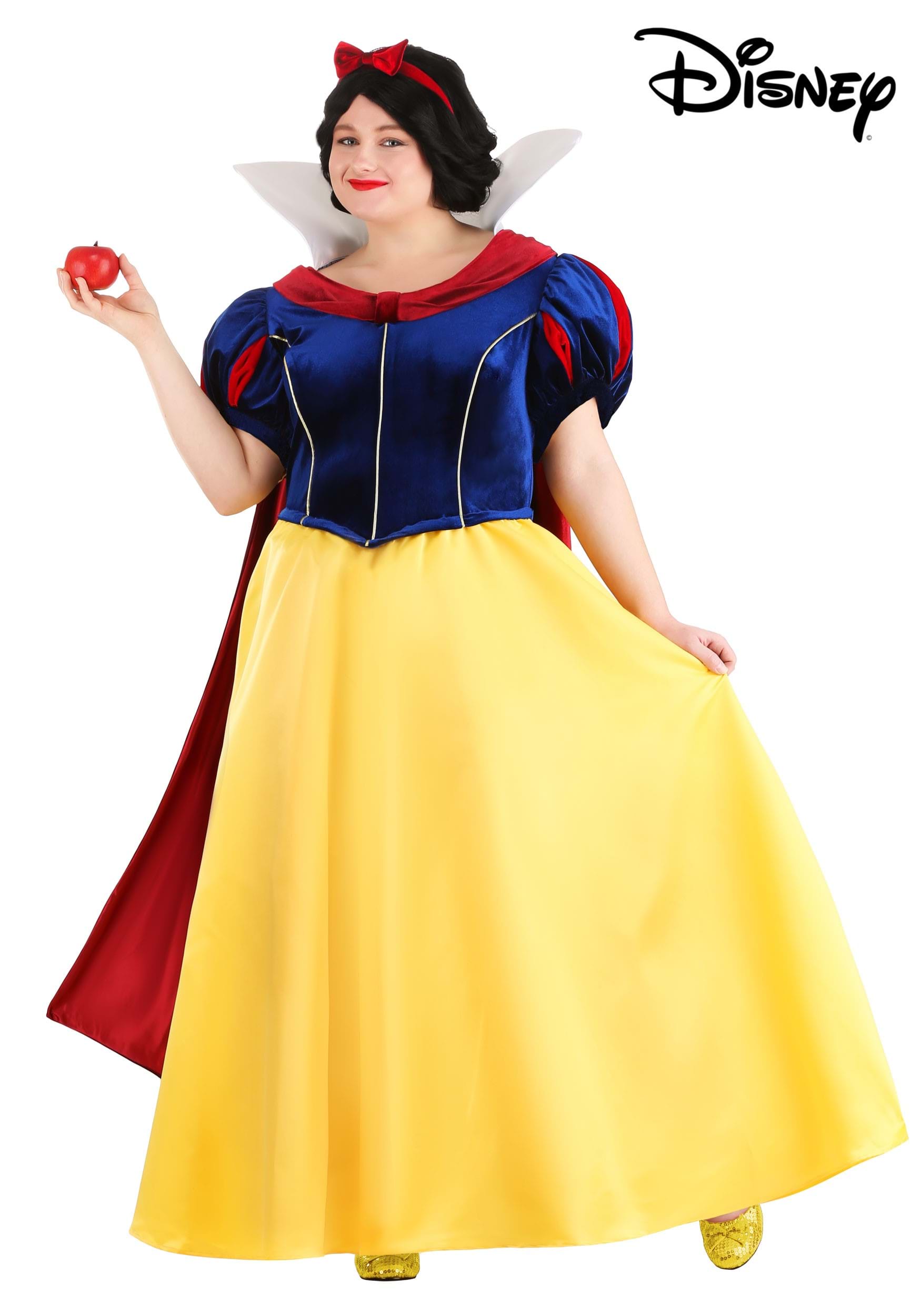 delikatesse blad Hick Plus Size Disney Snow White Costume for Women