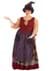 Women's Plus Size Hocus Pocus Mary Sanderson Costume