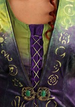 Plus Size Hocus Pocus Winifred Sanderson Costume Alt 9