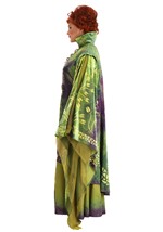 Plus Size Hocus Pocus Winifred Sanderson Costume Alt 11