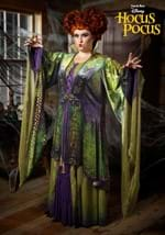 Plus Size Hocus Pocus Winifred Sanderson Costume-0