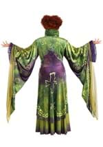 Plus Size Hocus Pocus Winifred Sanderson Costume Alt 1