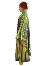 Plus Size Hocus Pocus Winifred Sanderson Costume Alt 10