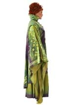 Plus Size Hocus Pocus Winifred Sanderson Costume Alt 11