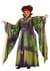 Hocus Pocus Winifred Sanderson Plus Size Womens Costume