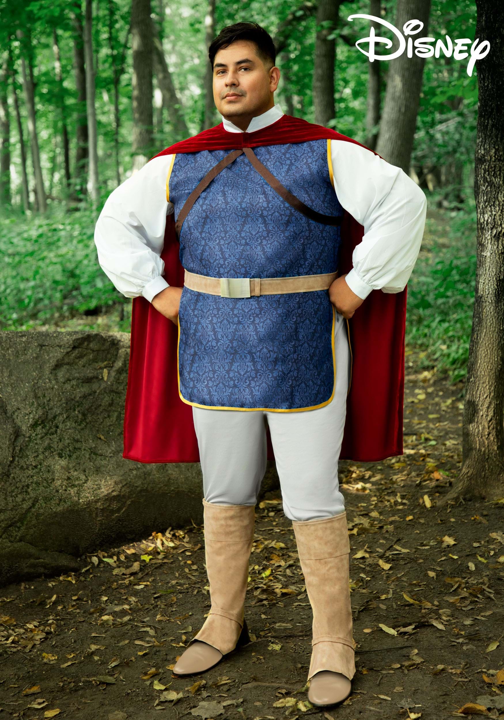 Plus Size Men's Disney Snow White Prince Costume
