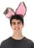 Gray Bendy Bunny Ears Headband Alt 1