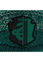 Slytherin Knit Brim Cap Alt 4